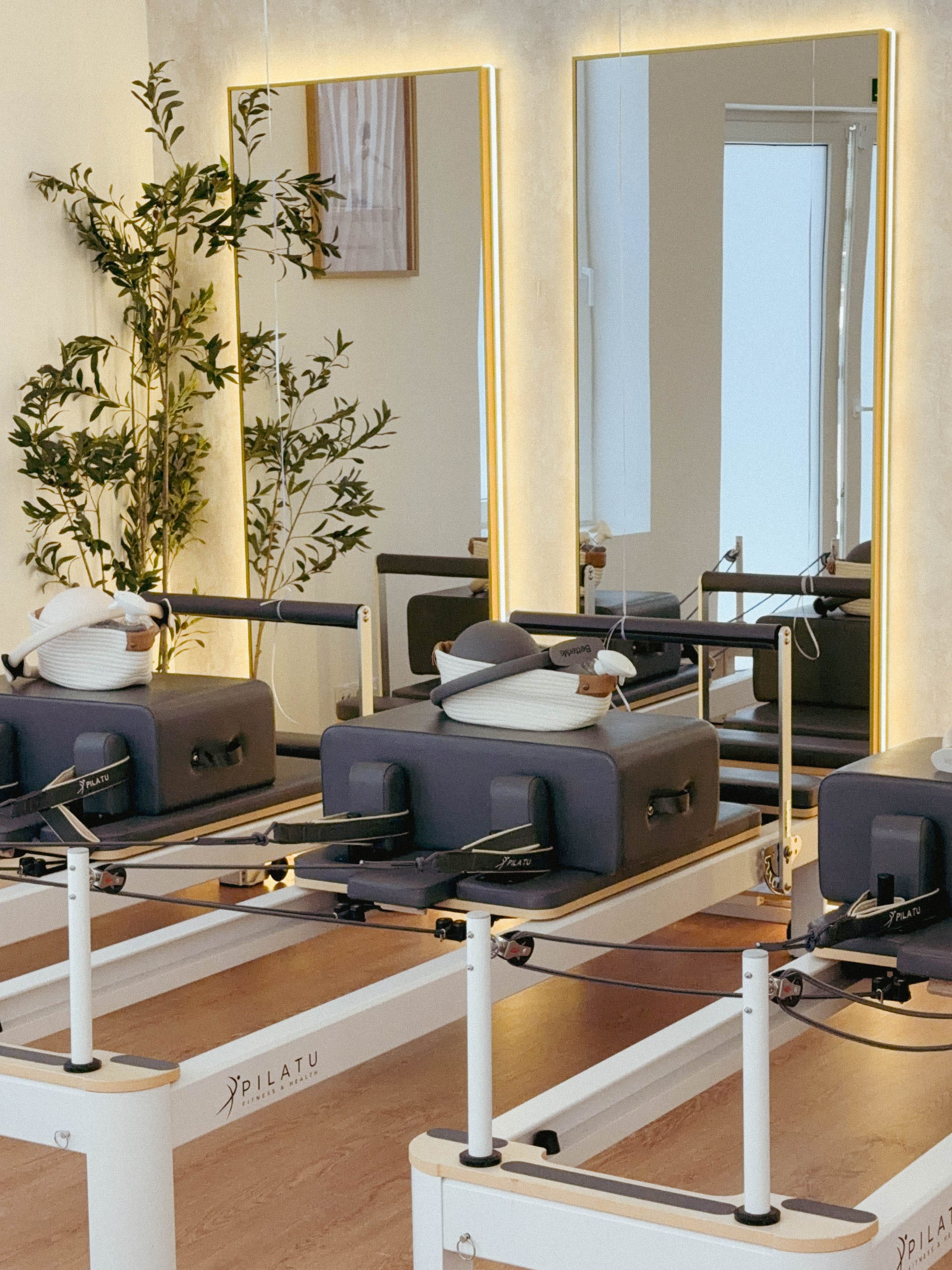 Alinéa Wellness Club — Reception